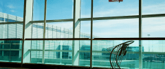 United Airlines Settles Employee Harassment Suit for Anti Asian slurs and Physical Assault